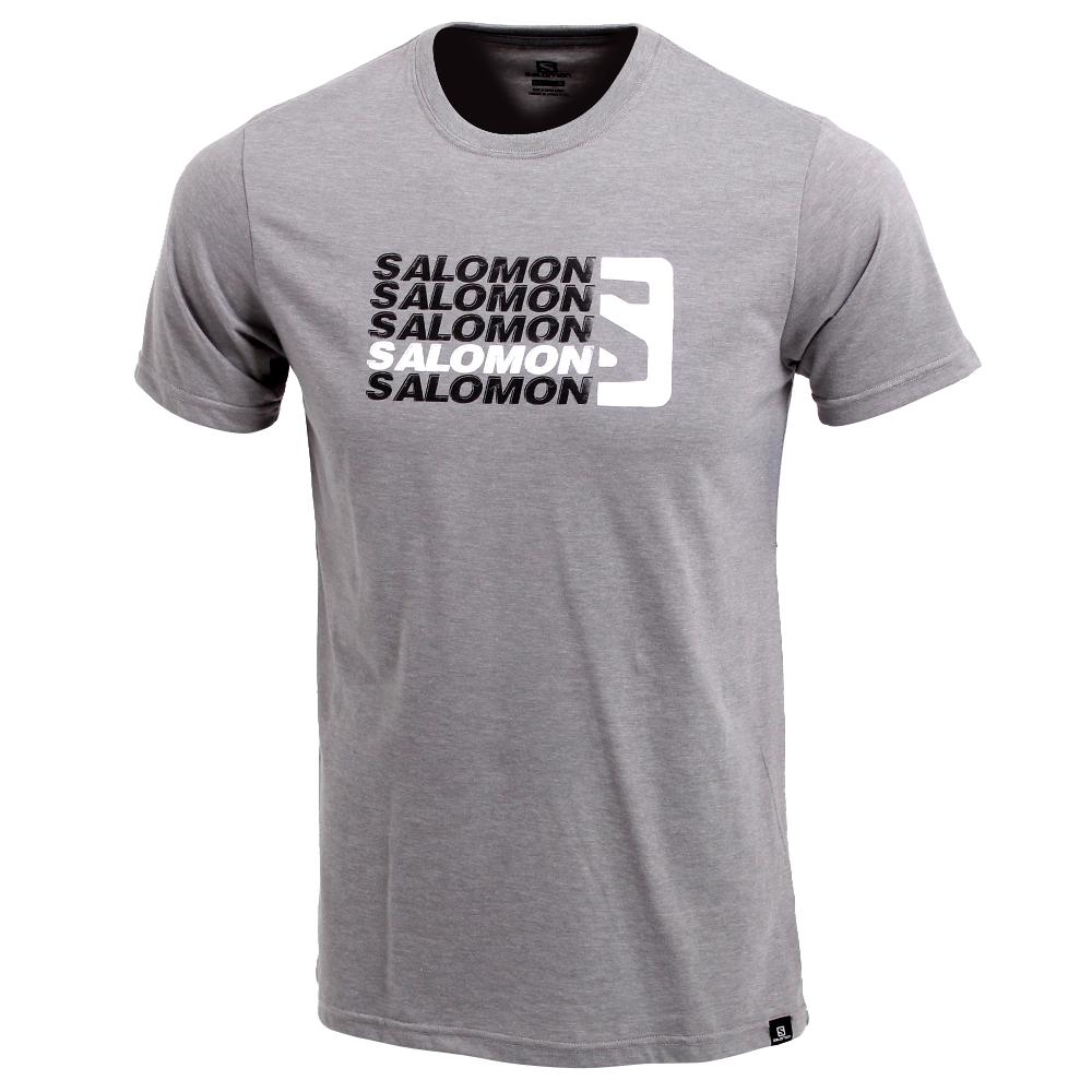 Salomon T-Shirts Herre Grå - STANDOUT SS M (CJSDA-5841)